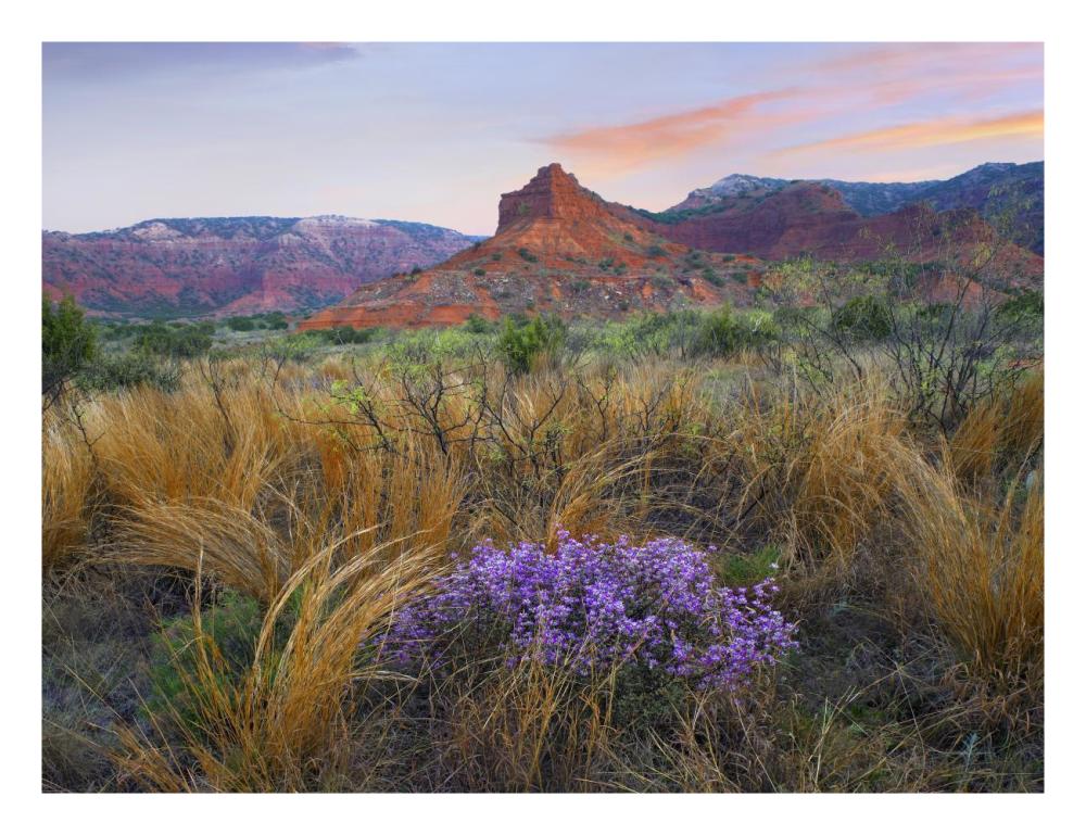 Caprock Canyons State Park, Texas-Paper Art-26"x20"