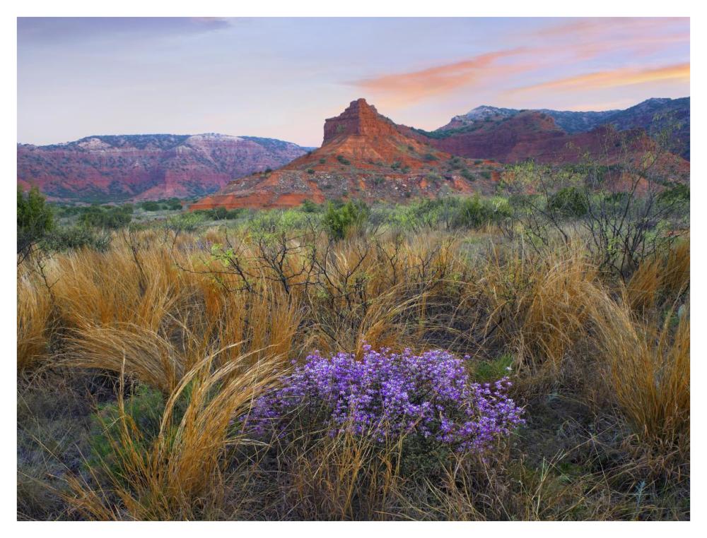 Caprock Canyons State Park, Texas-Paper Art-42"x32"