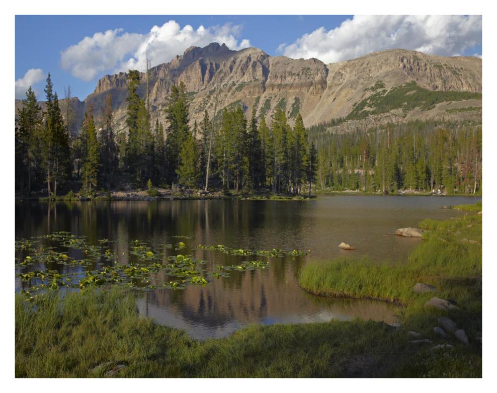 Butterfly Lake, Uinta Range, Utah-Paper Art-34"x26"