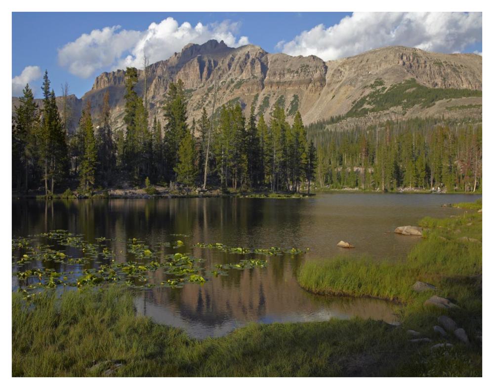 Butterfly Lake, Uinta Range, Utah-Paper Art-42"x32"