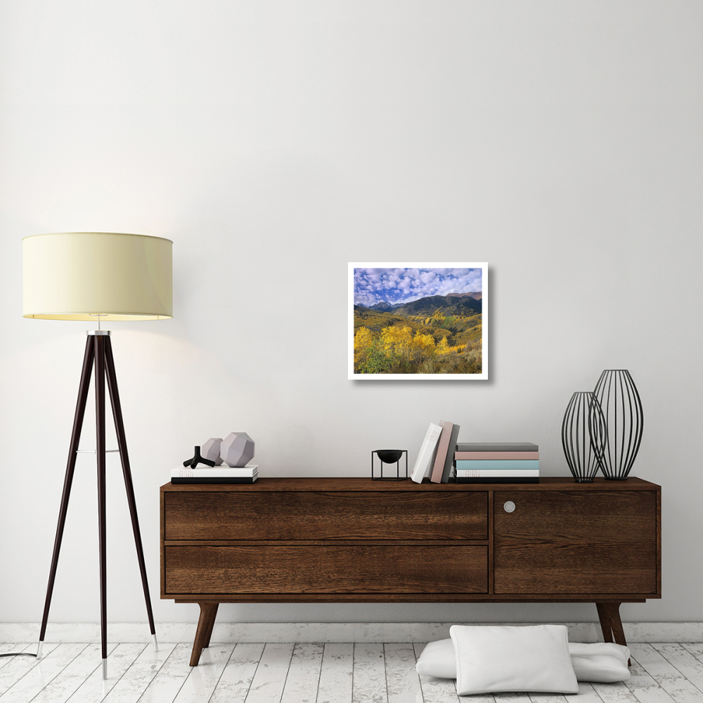 Quaking Aspen in autumn, Colorado-Paper Art-24&quotx20.04"