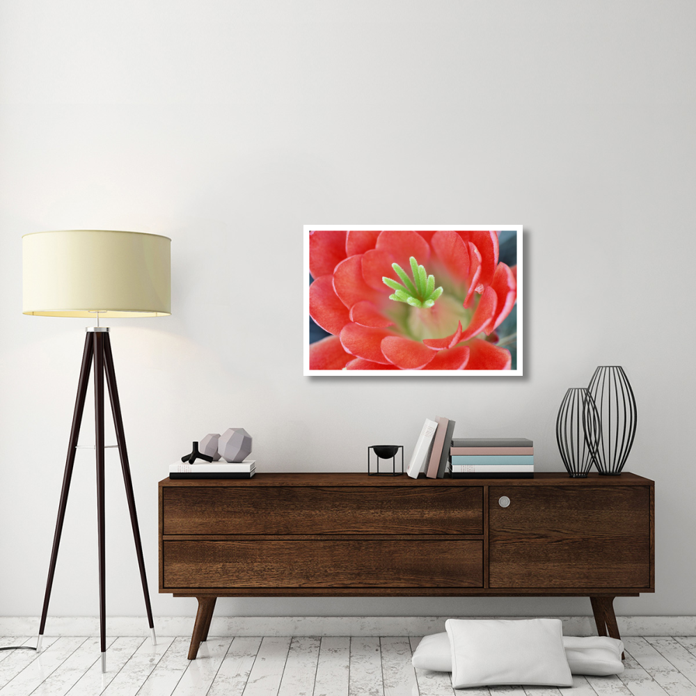 Claret Cup Cactus flower, Arizona-Paper Art-38&quotx26"