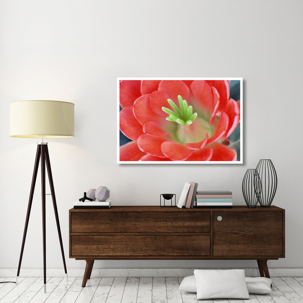 Claret Cup Cactus flower, Arizona-Paper Art-50&quotx34"
