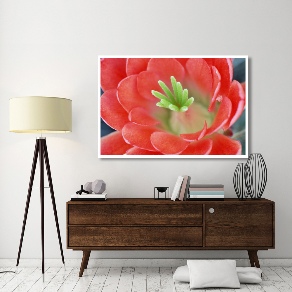 Claret Cup Cactus flower, Arizona-Paper Art-62&quotx42"