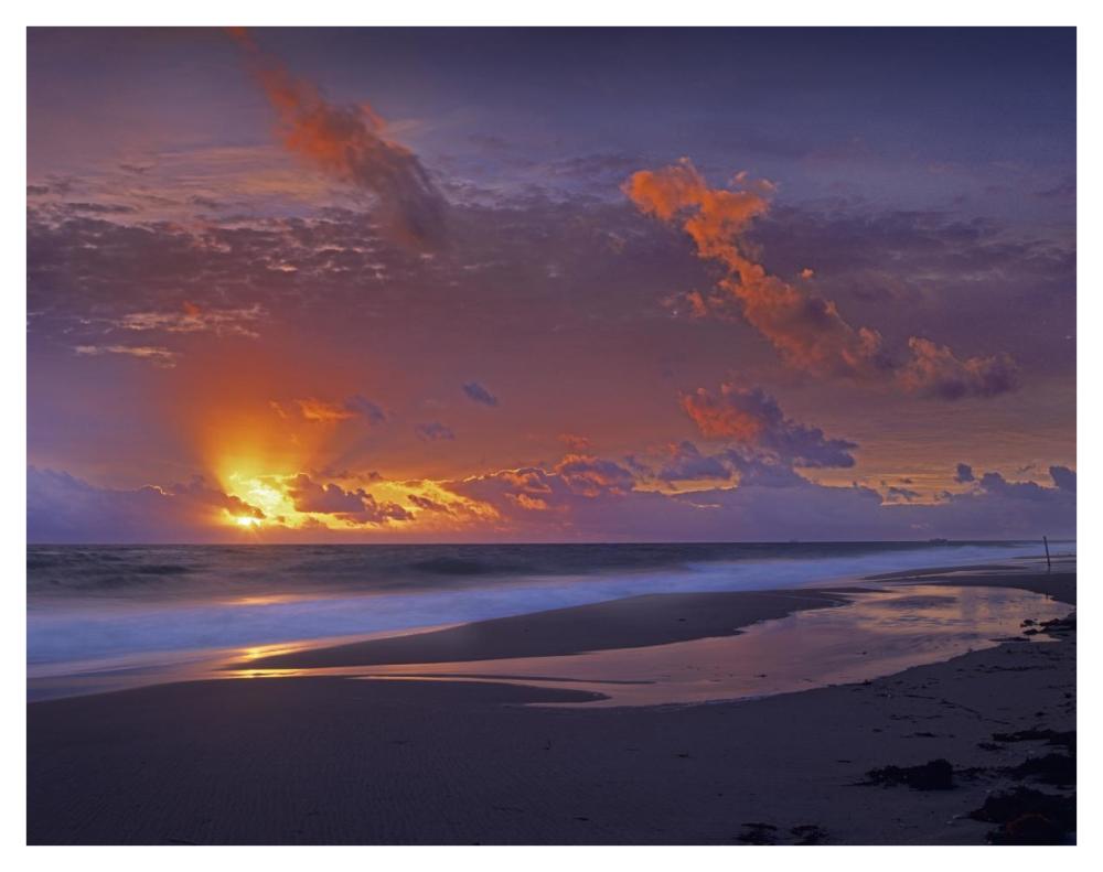McArthur beach at sunrise, Florida-Paper Art-42"x32"