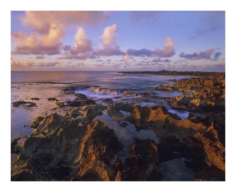Dusk at Shark's Cove, Oahu, Hawaii-Paper Art-22"x18"