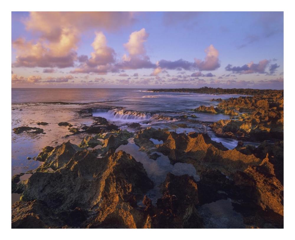 Dusk at Shark's Cove, Oahu, Hawaii-Paper Art-26"x22"