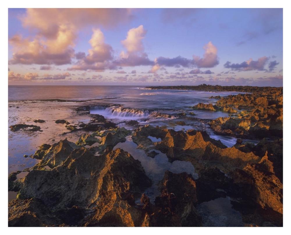 Dusk at Shark's Cove, Oahu, Hawaii-Paper Art-37"x30"