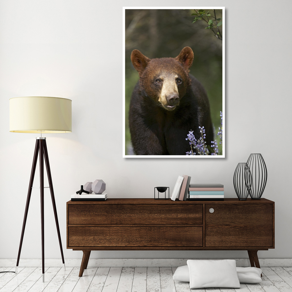 Black Bear portrait, North America-Paper Art-42&quotx62"