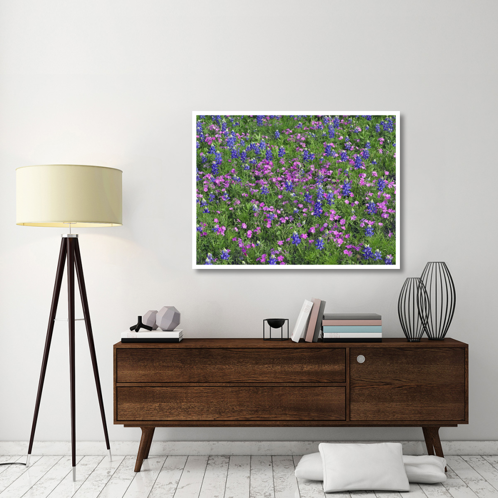 Sand Bluebonnet and Pointed Phlox-Paper Art-50&quotx38"