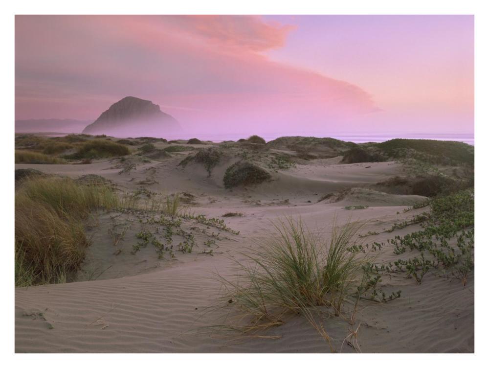 Morro Rock at Morro Bay, California-Paper Art-34"x26"