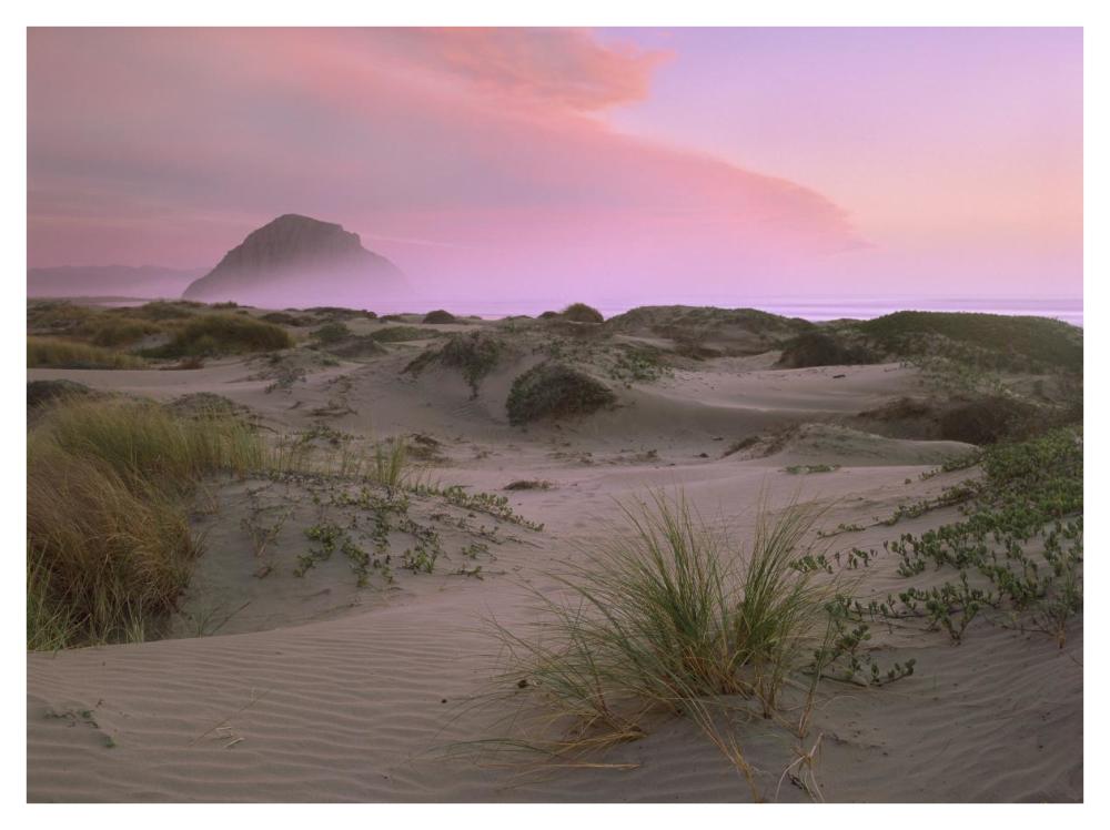 Morro Rock at Morro Bay, California-Paper Art-42"x32"