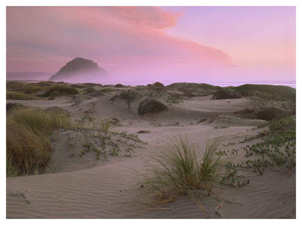 Morro Rock at Morro Bay, California-Paper Art-50"x38"