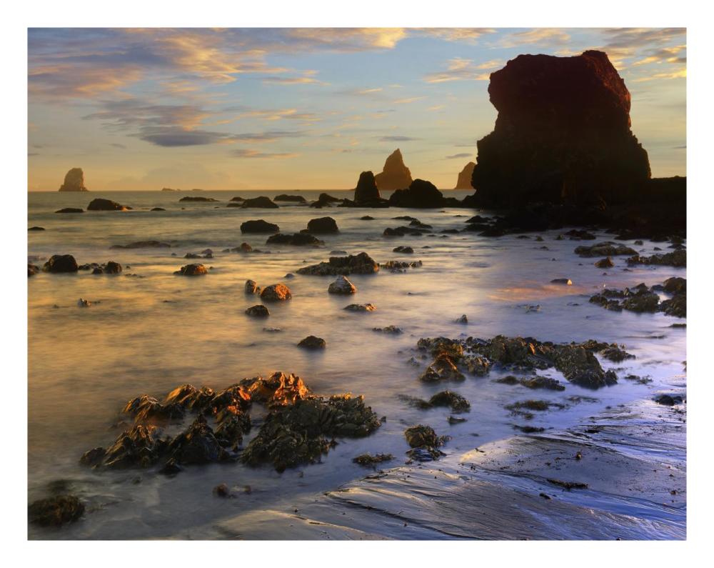Seastacks, Lone Ranch Beach, Oregon-Paper Art-26"x20"