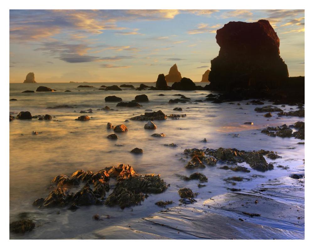 Seastacks, Lone Ranch Beach, Oregon-Paper Art-34"x26"