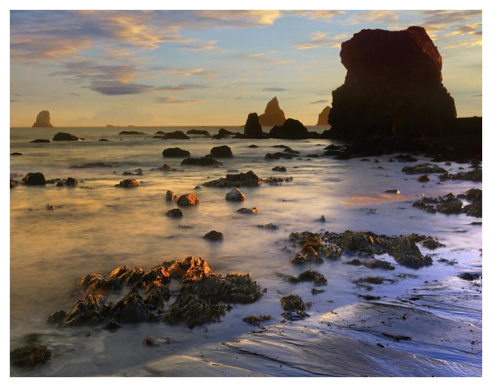 Seastacks, Lone Ranch Beach, Oregon-Paper Art-50"x38"