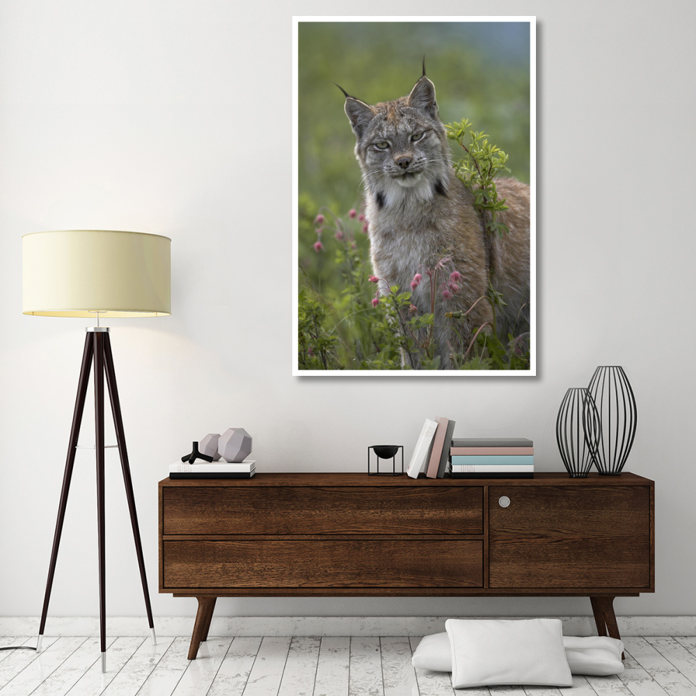 Canada Lynx portrait, North America-Paper Art-42&quotx62"