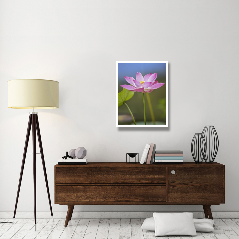 Sacred Lotus flower, native to Asia-Paper Art-26&quotx34"