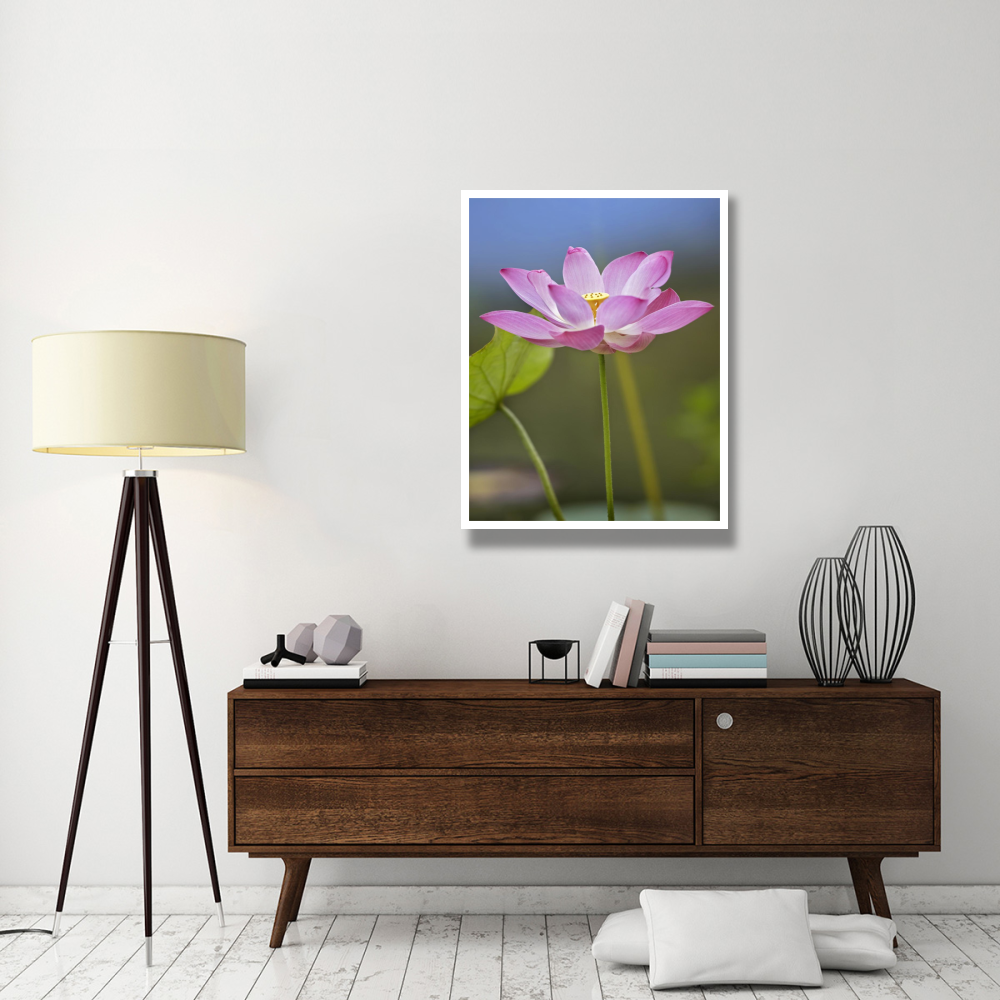 Sacred Lotus flower, native to Asia-Paper Art-32&quotx42"