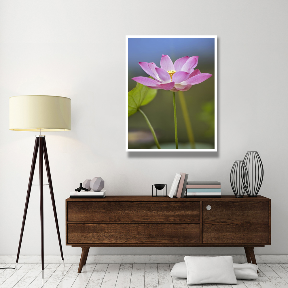 Sacred Lotus flower, native to Asia-Paper Art-38&quotx50"