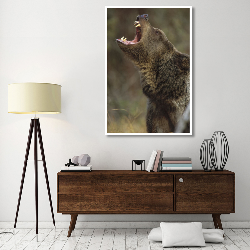 Grizzly Bear calling, North America-Paper Art-42&quotx62"
