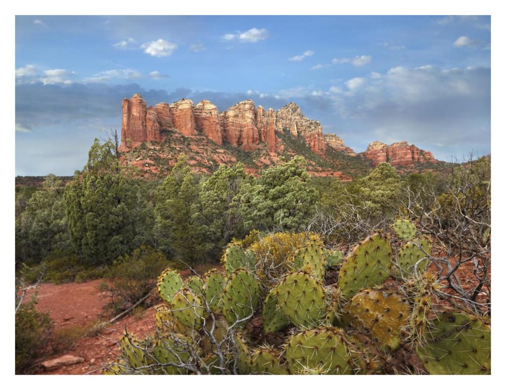 Coffee Pot Rock near Sedona, Arizona-Paper Art-34"x26"