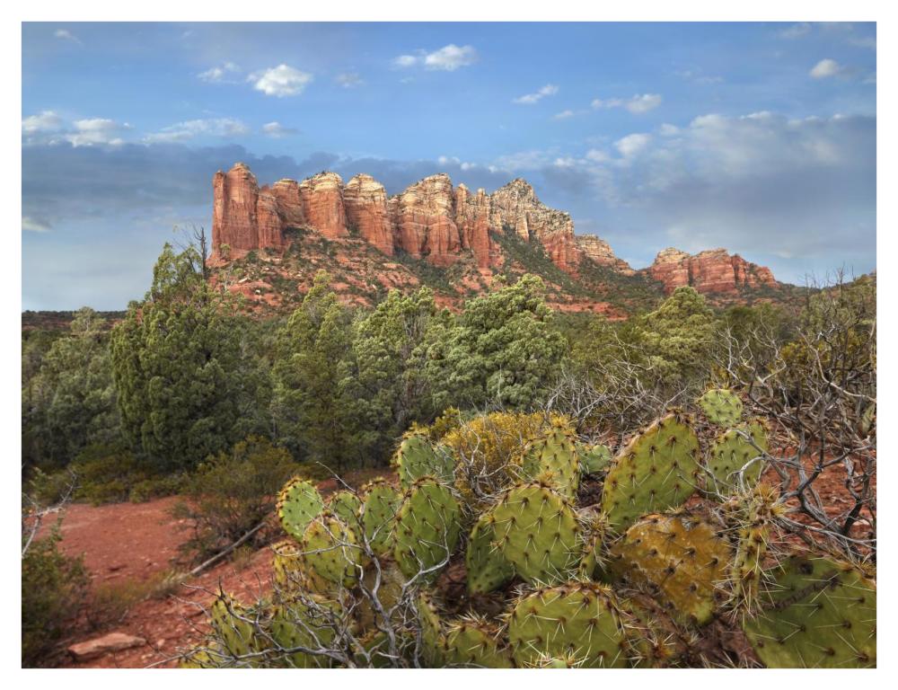 Coffee Pot Rock near Sedona, Arizona-Paper Art-42"x32"