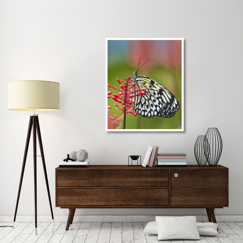 Paper Kite butterfly, native to Asia-Paper Art-38.52&quotx46"