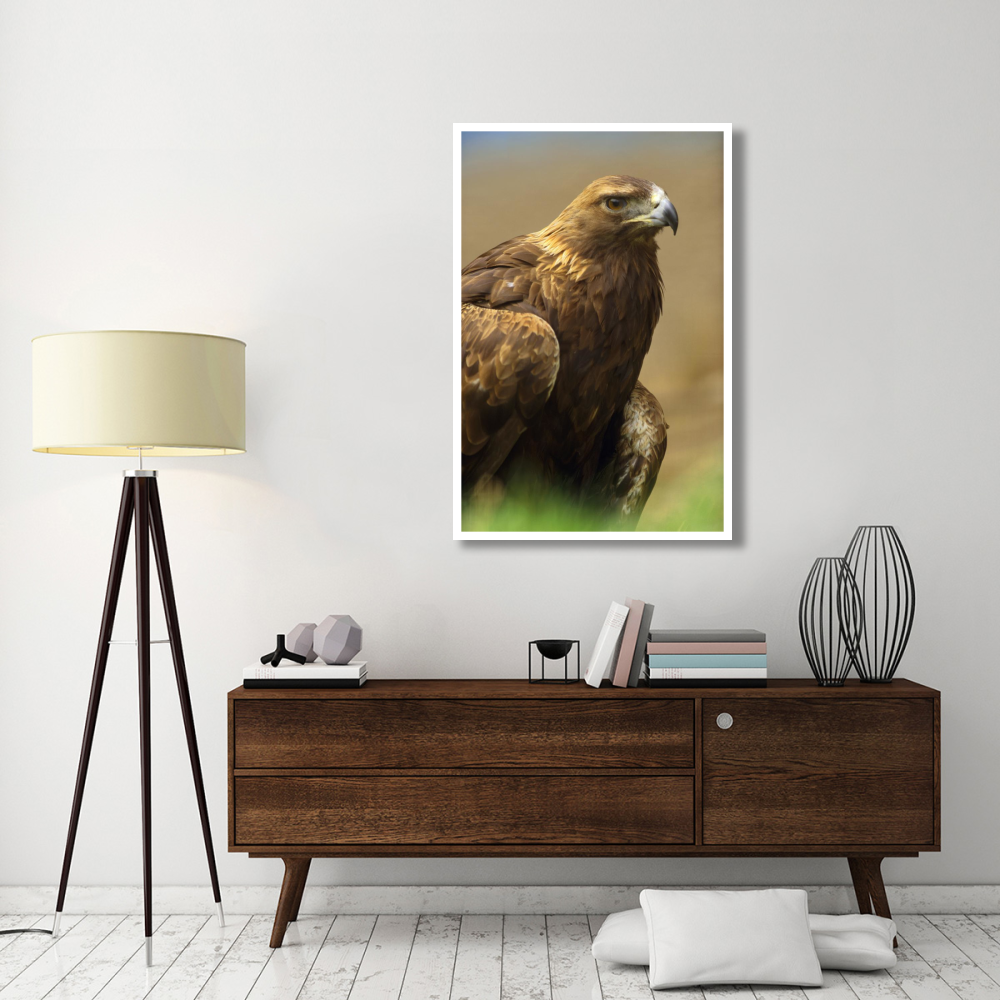 Golden Eagle portrait, North America-Paper Art-34&quotx50"