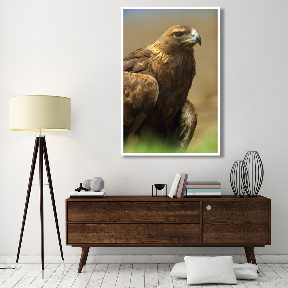 Golden Eagle portrait, North America-Paper Art-42&quotx62"