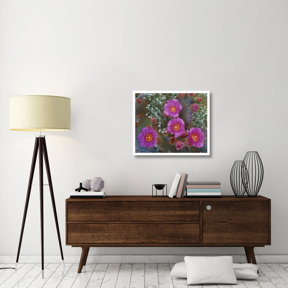 Beavertail Cactus flowering, Arizona-Paper Art-32&quotx26.9"