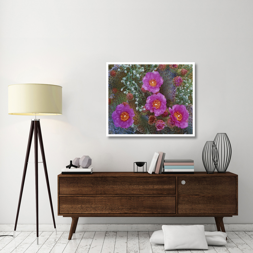 Beavertail Cactus flowering, Arizona-Paper Art-42&quotx35.2"