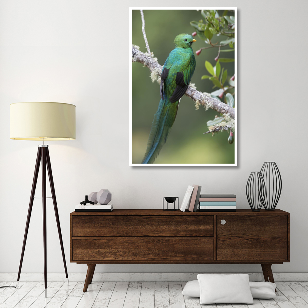 Resplendent Quetzal male, Costa Rica-Paper Art-42&quotx62"