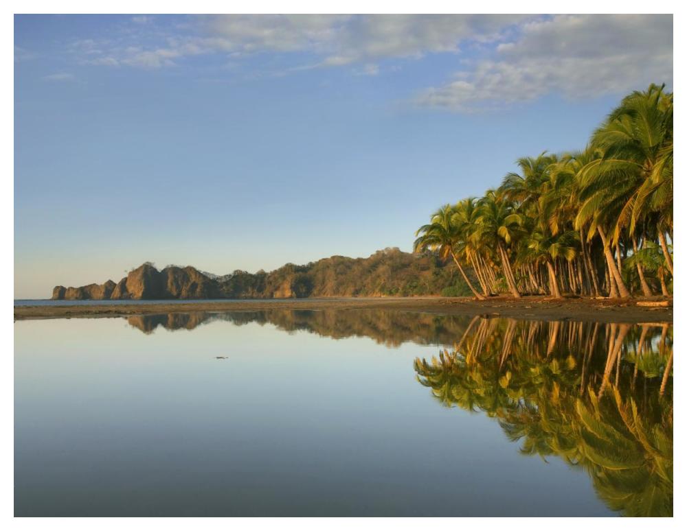 Playa Carillo, Guanacaste, Costa Rica-Paper Art-50"x38"