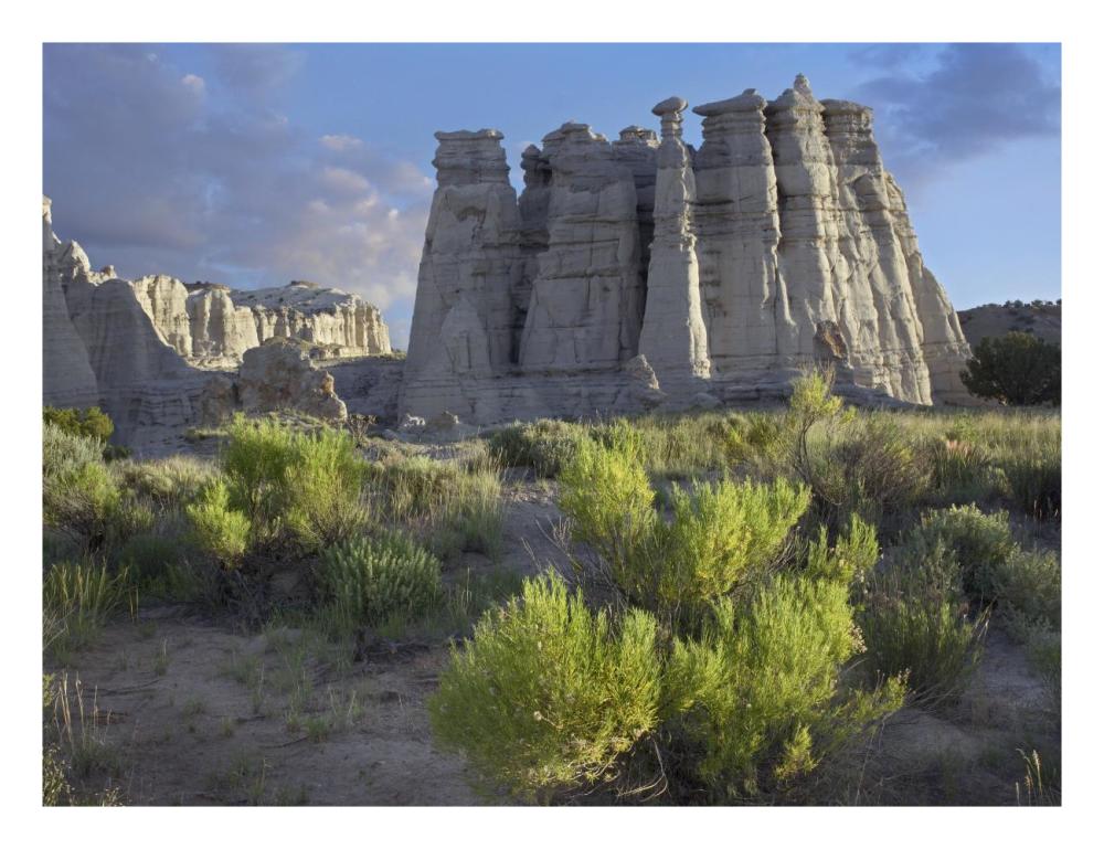 Plaza Blanca near Abiquiu, New Mexico-Paper Art-26"x20"