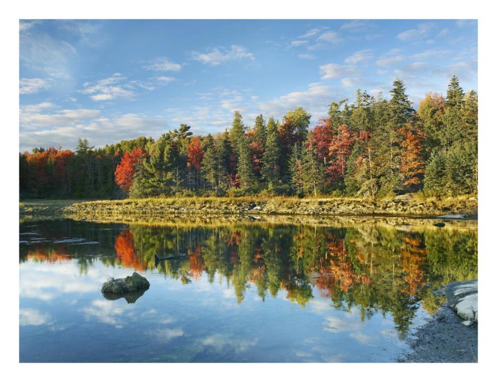 Coastline, Mount Desert Island, Maine-Paper Art-26"x20"
