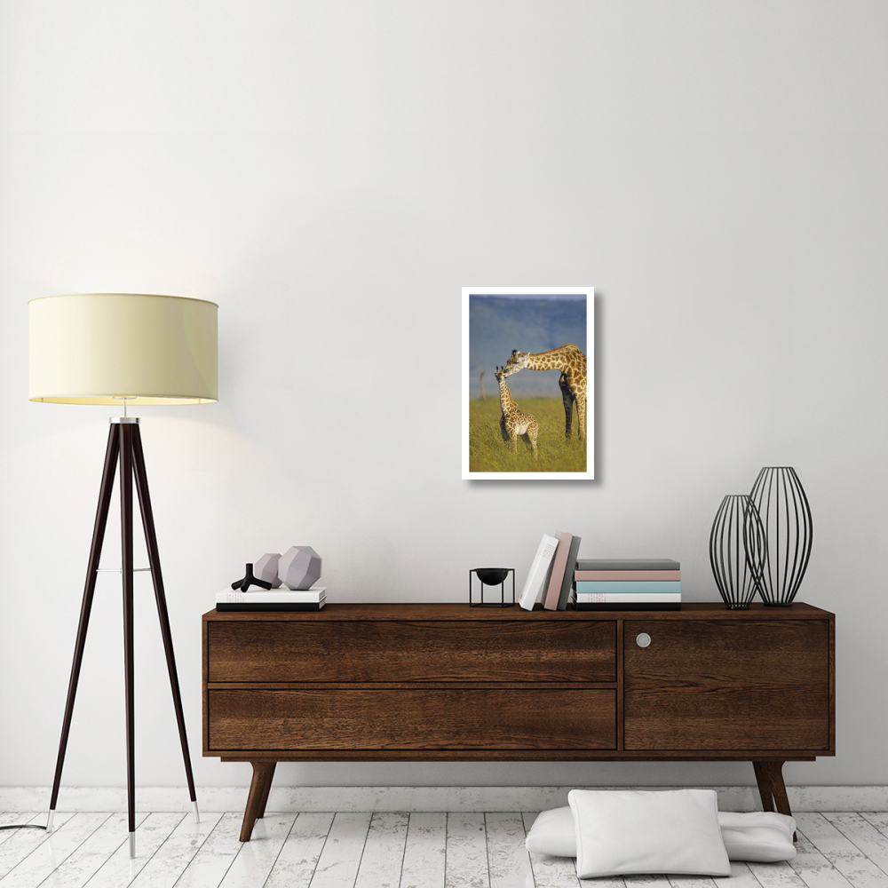 Masai Giraffe mother and young, Kenya-Paper Art-18&quotx26"