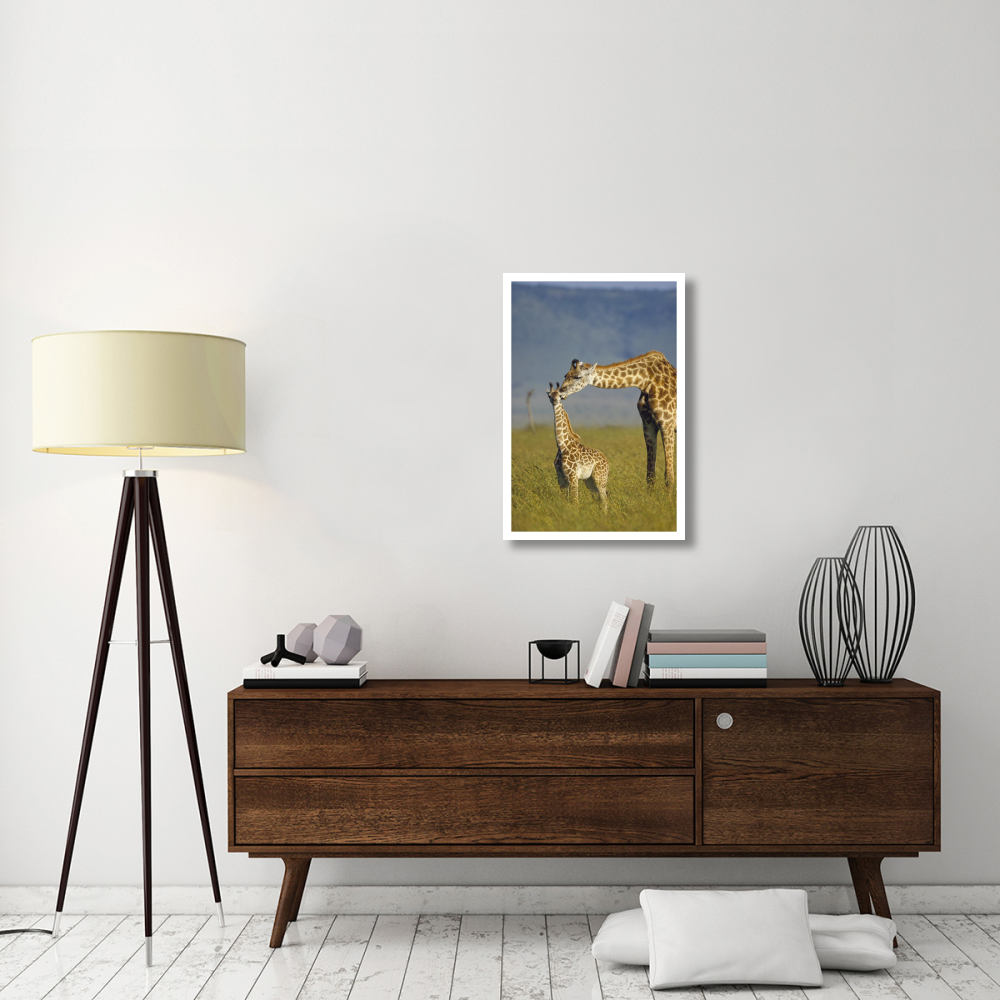 Masai Giraffe mother and young, Kenya-Paper Art-22&quotx32"