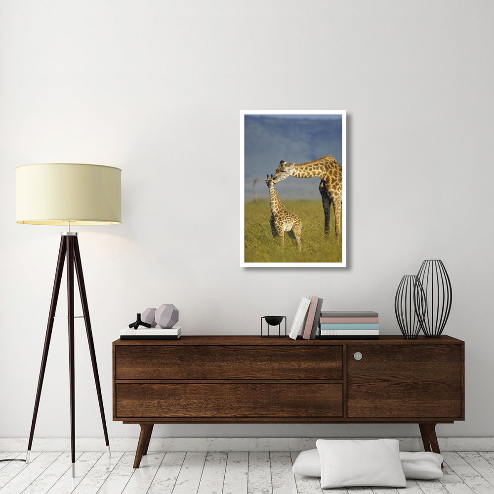 Masai Giraffe mother and young, Kenya-Paper Art-26&quotx38"