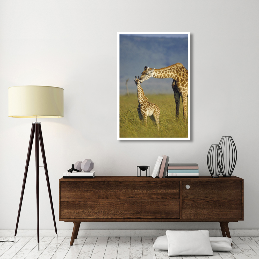 Masai Giraffe mother and young, Kenya-Paper Art-34&quotx50"