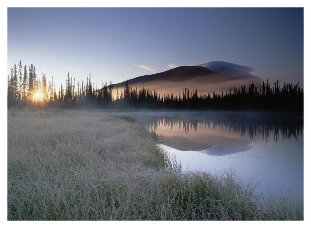 Nisling Range, Yukon Territory, Canada-Paper Art-42"x32"
