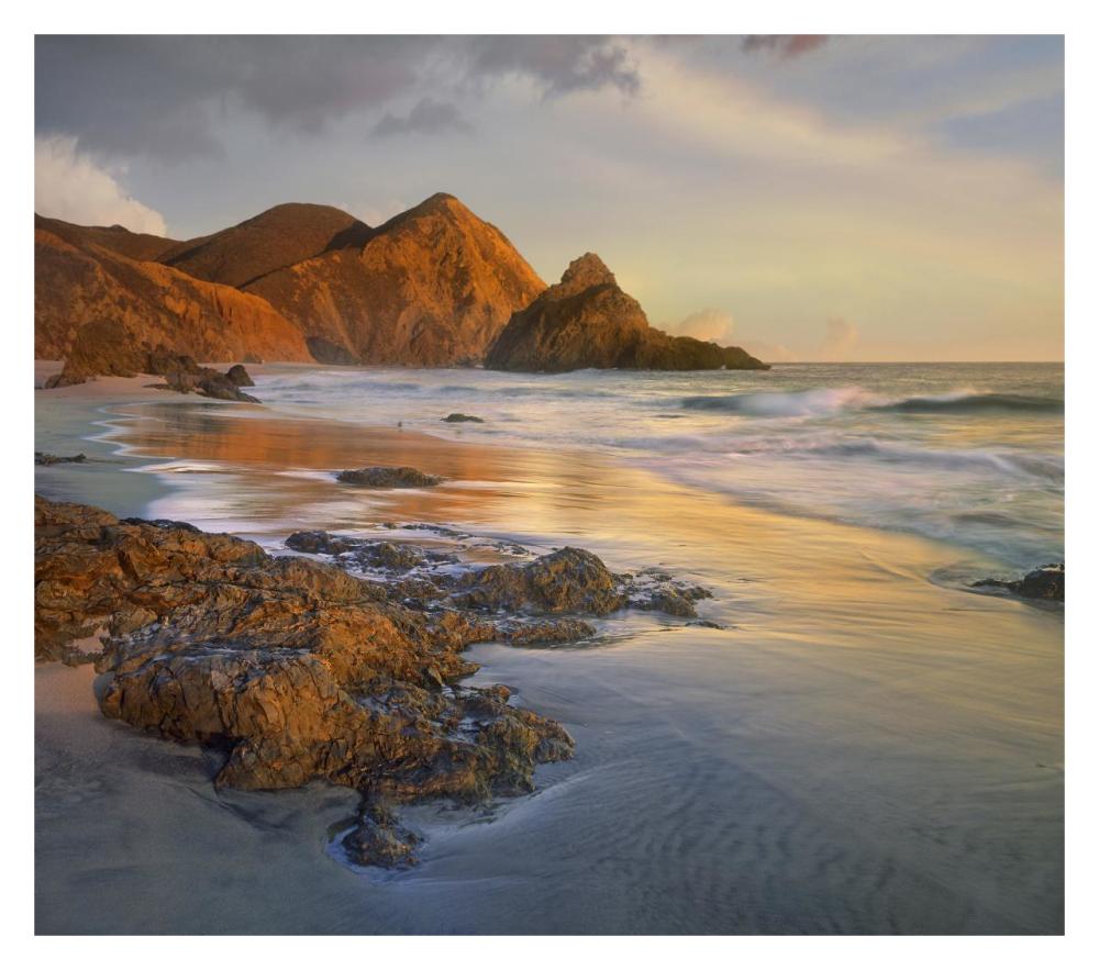 Bean Hollow Beach, Big Sur, California-Paper Art-32"x28.4"