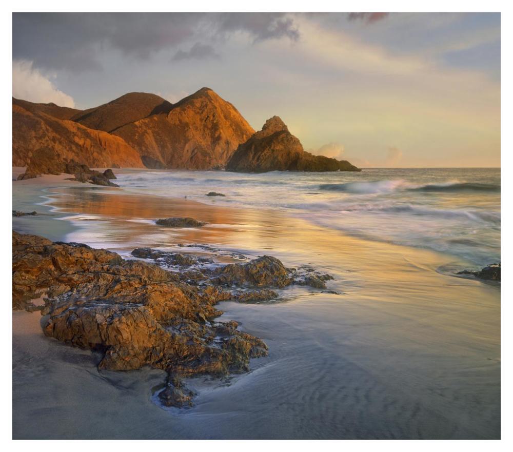 Bean Hollow Beach, Big Sur, California-Paper Art-42"x37.2"