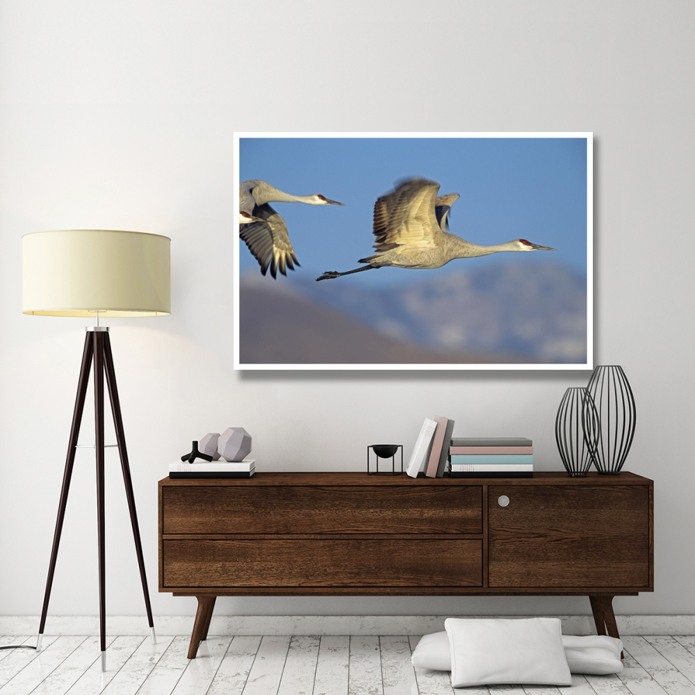 Sandhill Cranes flying, North American-Paper Art-62&quotx42"