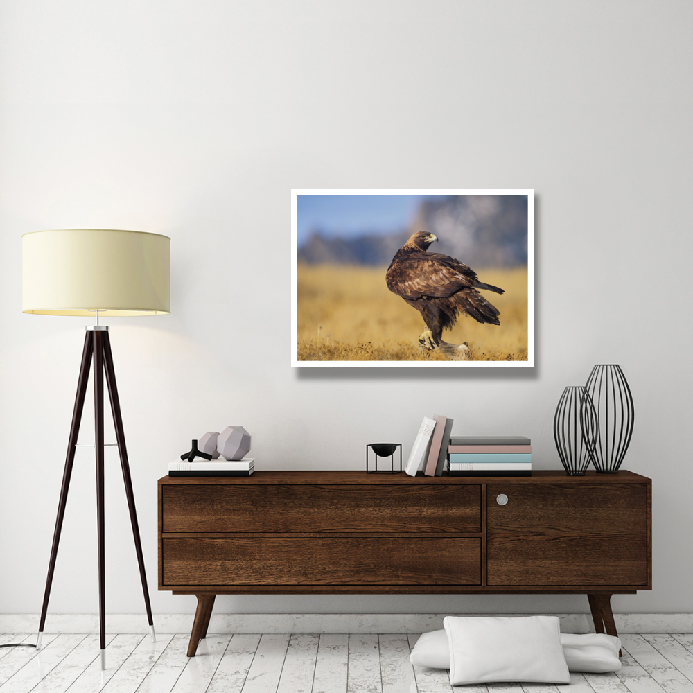 Golden Eagle on a snag, North American-Paper Art-42&quotx32"