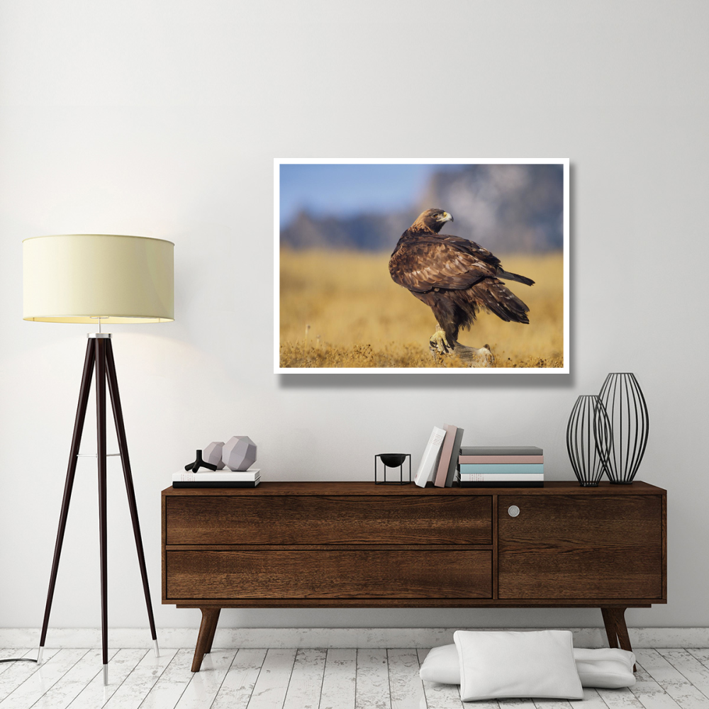 Golden Eagle on a snag, North American-Paper Art-50&quotx38"