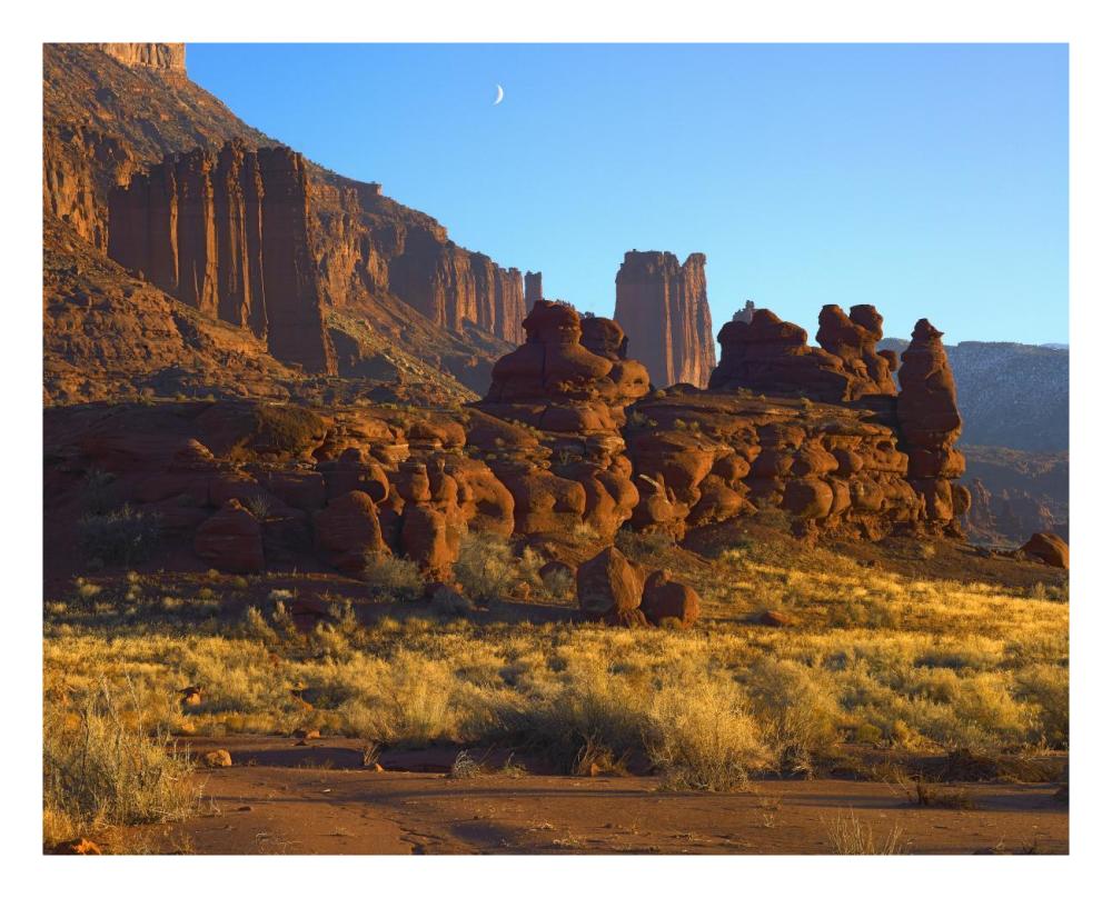 Fisher Towers at Professor Valley, Utah-Paper Art-26"x22"