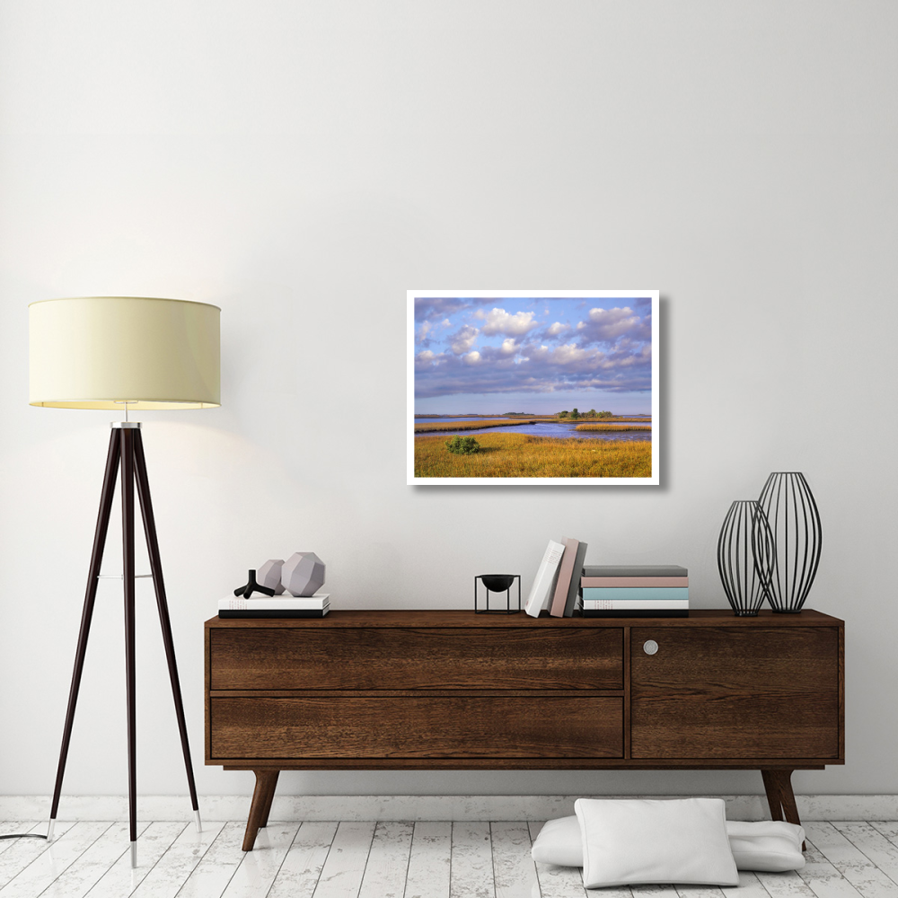 Saltwater marshes at Cedar Key, Florida-Paper Art-34&quotx26"