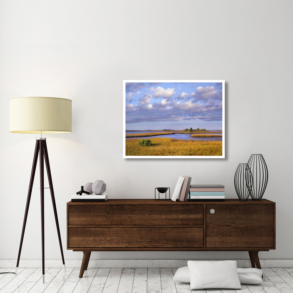 Saltwater marshes at Cedar Key, Florida-Paper Art-42&quotx32"