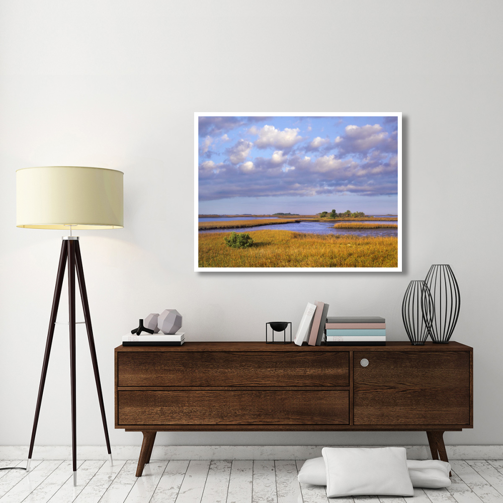 Saltwater marshes at Cedar Key, Florida-Paper Art-50&quotx38"